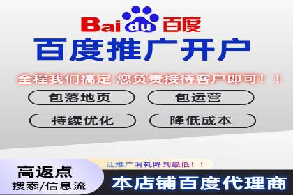 成功运用SEM服务实现品牌推广的案例分析